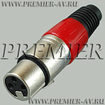 1-504 RD ������ XLR 3P "��" ������ ����� �� ������, �������